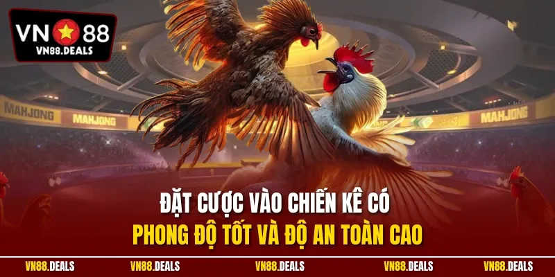 Đặt cược vào chiến kê có phong độ tốt và độ an toàn cao