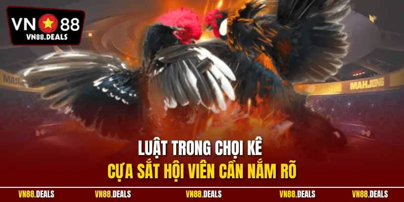 Luật trong chọi kê cựa sắt hội viên cần nắm rõ