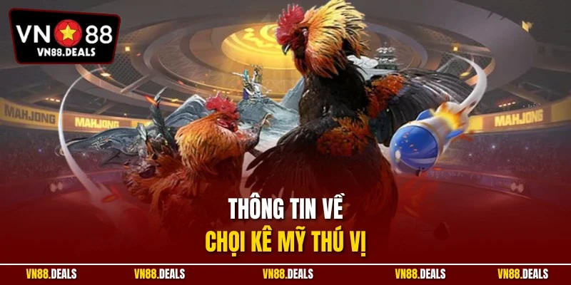 Thông tin về chọi kê Mỹ thú vị 